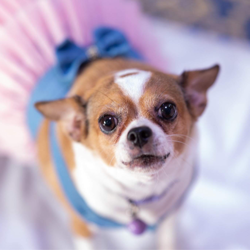 ปลายฟ้า สาครินท...