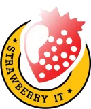 STRAWBERRY IT CO., LTD.